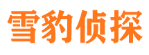 武冈市婚姻出轨调查